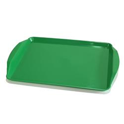 BANDEJA PLASTICA FAST FOOD VERDE